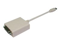 Uniformatic - Carte d'écran - Mini DisplayPort (M) pour DVI-I (F) - 20 cm - vis moletées 14644
