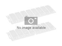 Xerox - Mémoire - module - 1 Go - pour Phaser 7100/NM, 7100DN, 7100N, 7100V_DN, 7100V_NC 097S04488